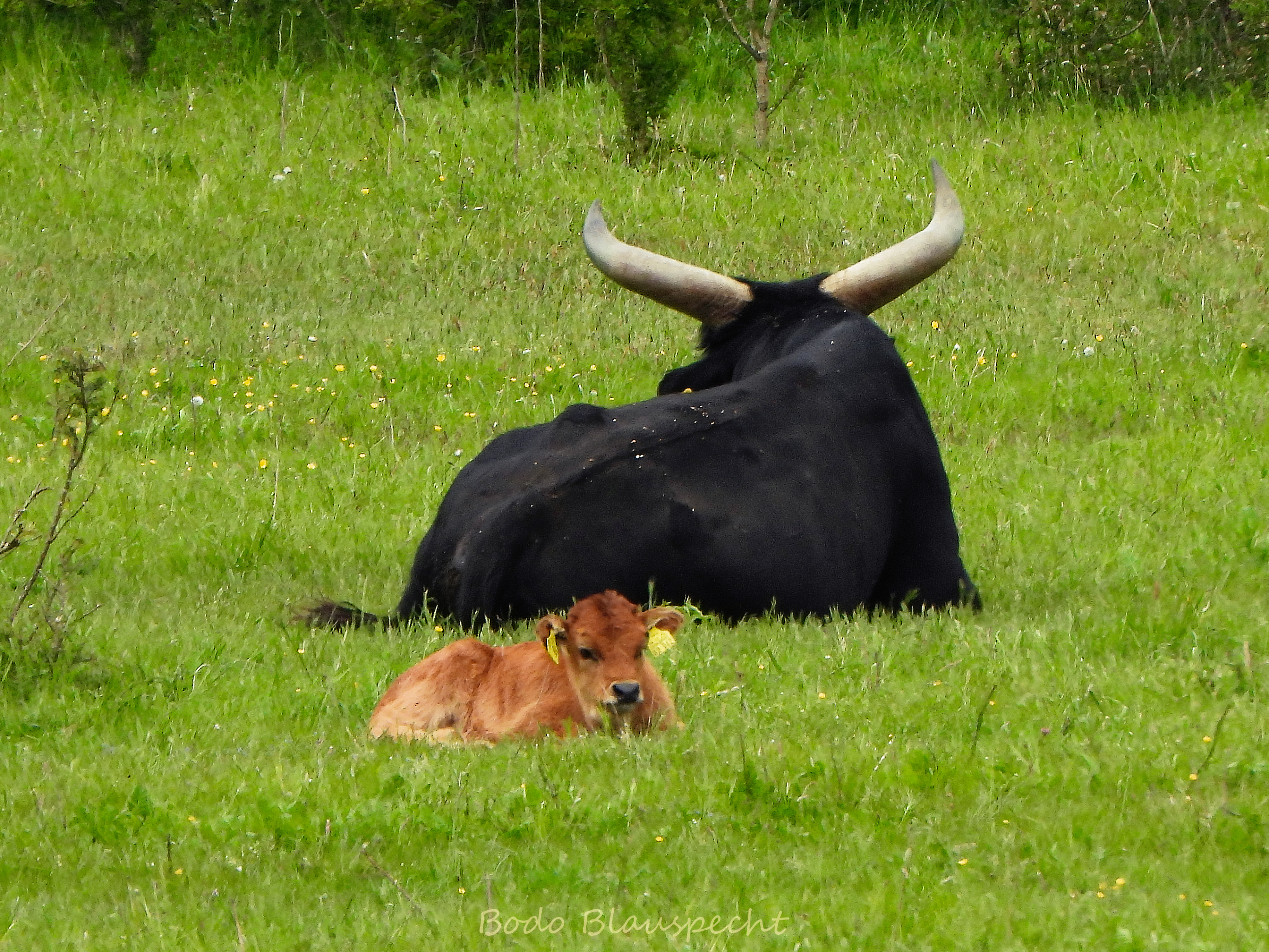Er hat getan, was man von ihm erwartet hatte.